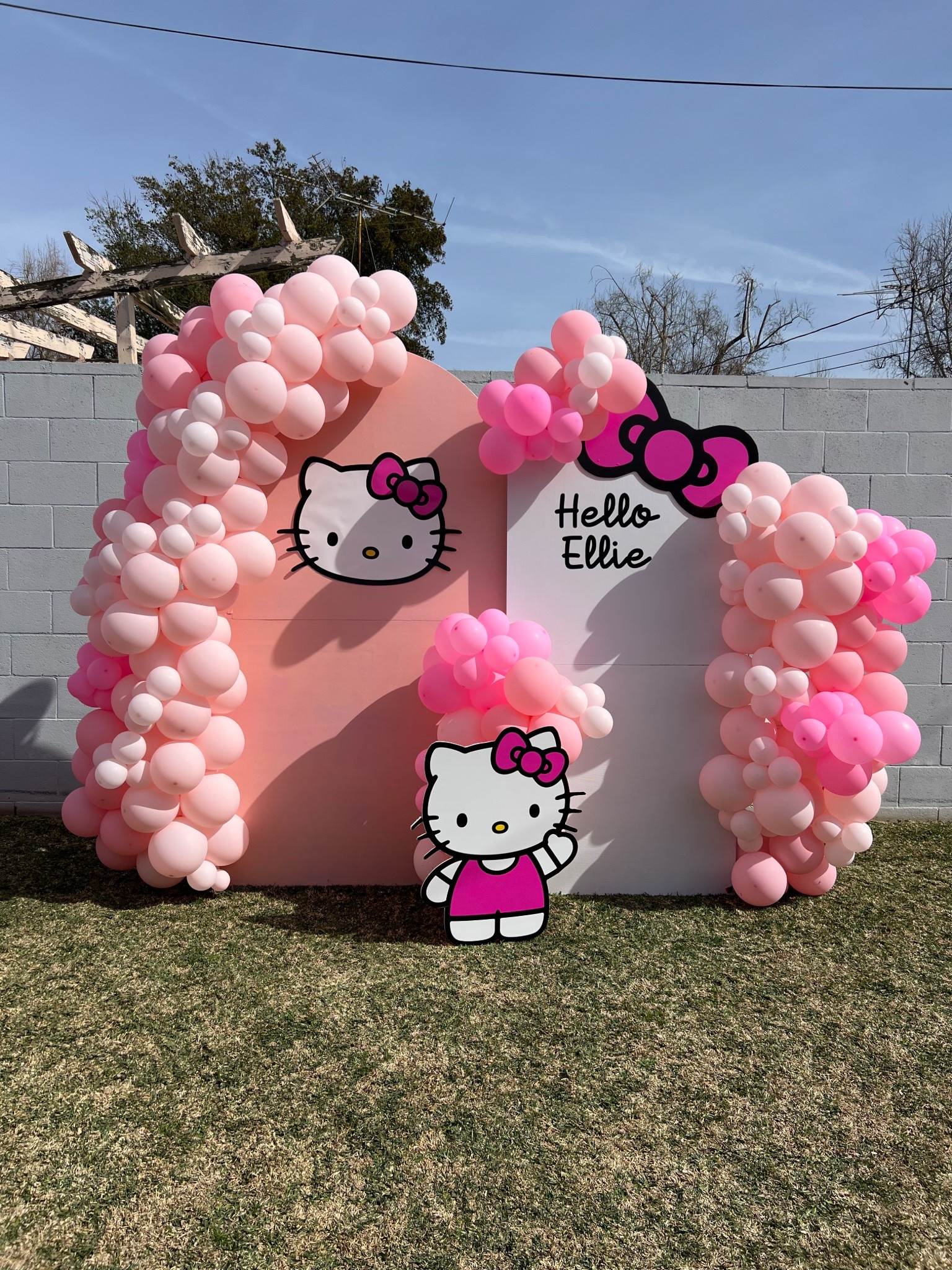 Hello kitty balloon backdrop 

#LTKParties #LTKFamily #LTKKids