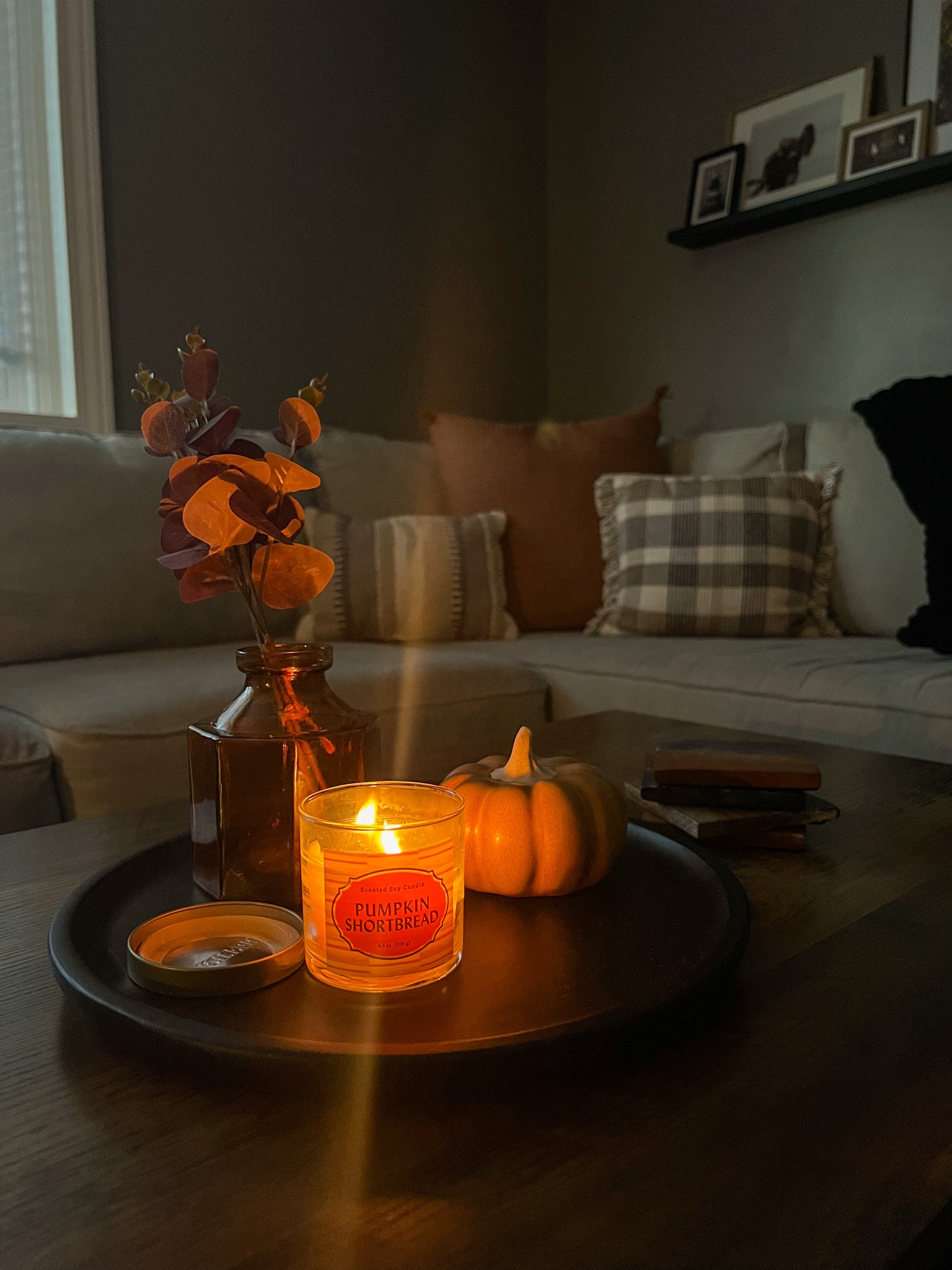 Fall living room decor 

Throw pillows, throw blankets, fall candles, fall coffee table, target finds

#LTKSeasonal #LTKhome #LTKsalealert