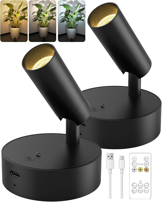 GOODEA Spotlights Indoor, 3000mAh Rechargeable Battery Plant Spotlight Indoor with Remote, Wirele... | Amazon (CA)