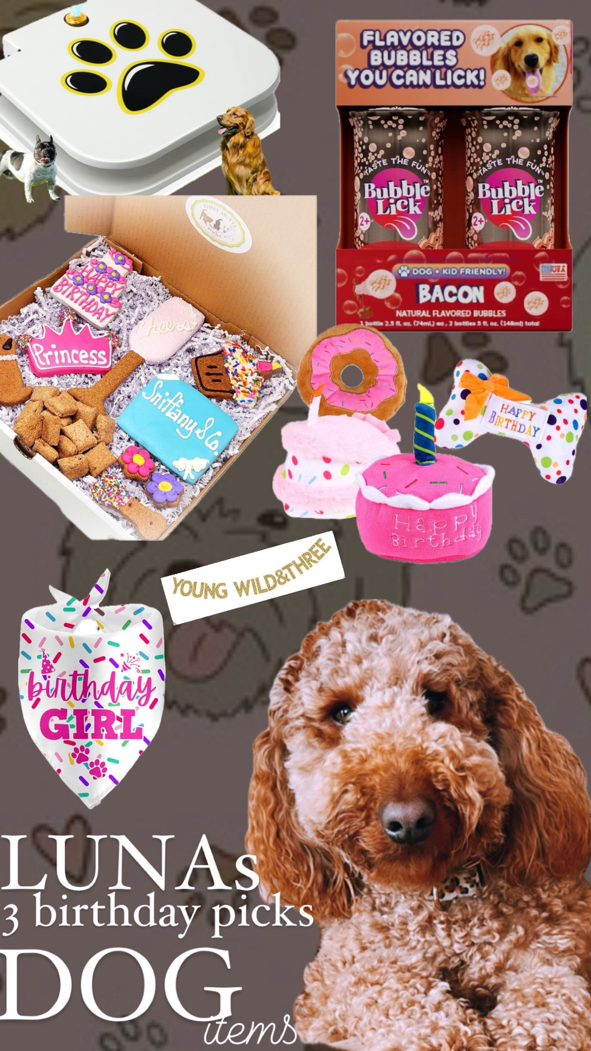 Living YOUNG WILD AND THREE 
Our LUNA girl turns 3 in June! And we cannot wait to CELEBRATE her! Birthdays are so special for anyone including PUPS! 

Here are some traditions we do and some fun things I always get my girl! Spoil your PUPS! 🐶🩷

#LTKDogs 

#LTKFamily #LTKSeasonal
