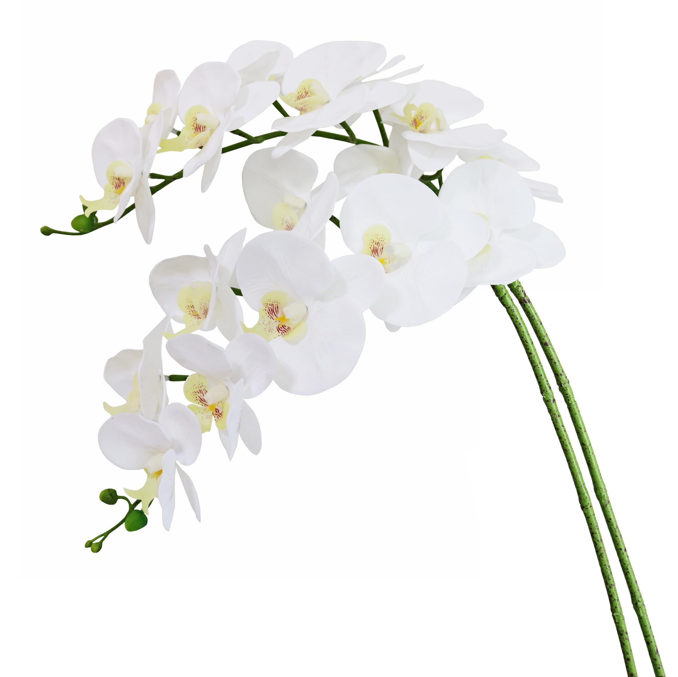 Htmeing 38 Inch Artificial Phalaenopsis Flowers Branches Real Touch (Not Silk) Orchids Flowers fo... | Amazon (US)