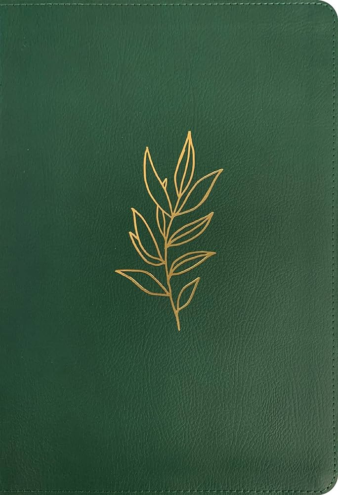 NLT Large Print Thinline Reference Bible, Filament-Enabled Edition (LeatherLike, Evergreen, Red L... | Amazon (US)