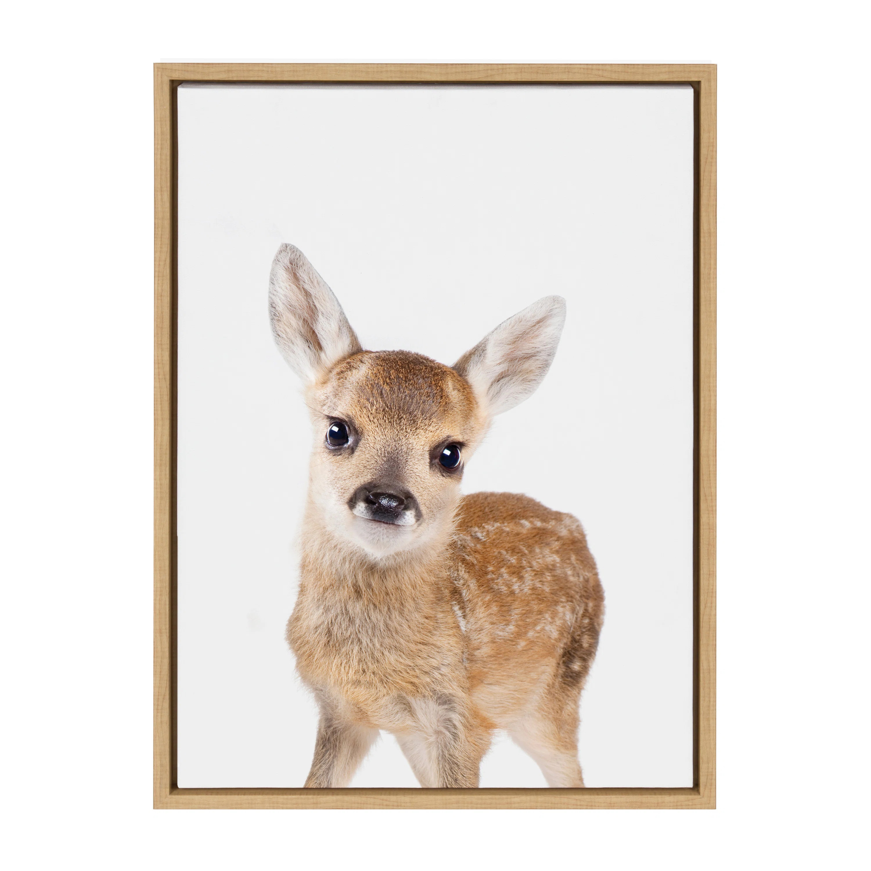 Animal Studio Deer by Amy Peterson Framed Canvas Wall Art Print | Wayfair North America