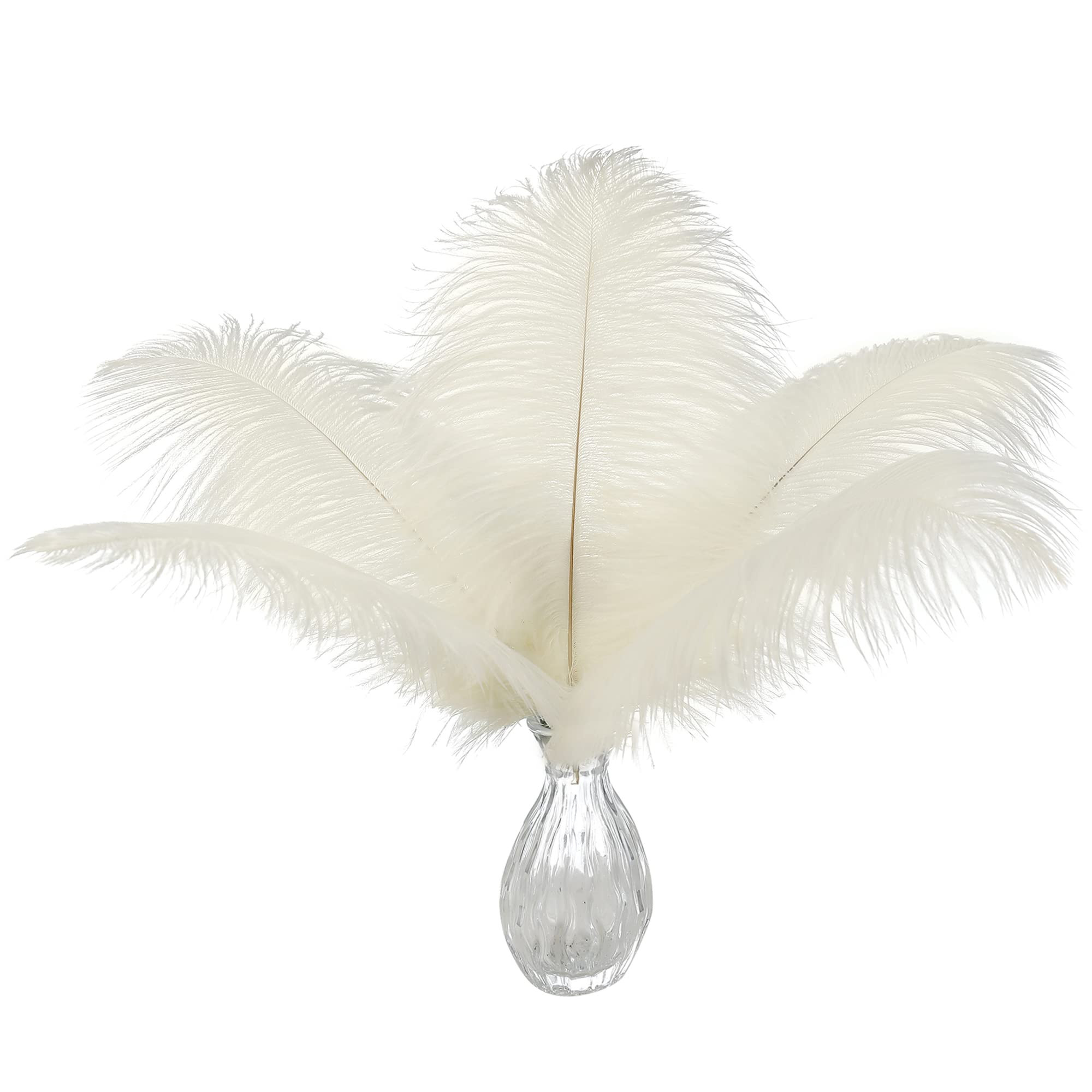 Ballinger | Amazon (US)