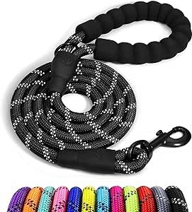 Taglory Rope Dog Leash 6 FT with Comfortable Padded Handle, Highly Reflective Threads Dog Leash f... | Amazon (US)