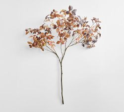 Faux Oversized Chocolate Leaf Branch | Pottery Barn (US)