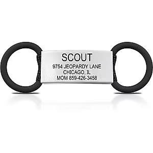 ROAD iD Personalized Cat ID Tag | Chewy.com