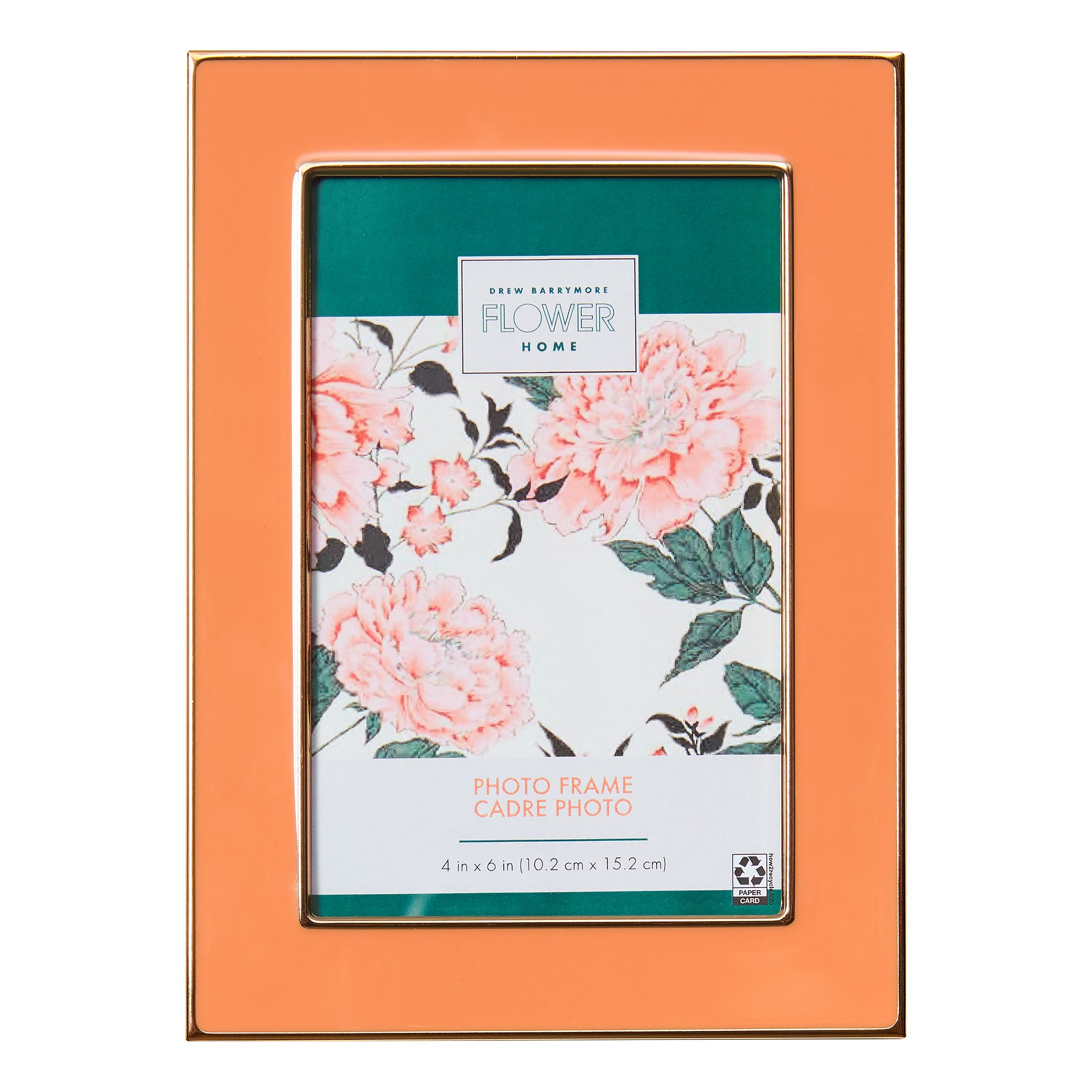 Cactus Flower Metal 4"x6" Tabletop Photo Frame by Drew Barrymore Flower Home | Walmart (US)