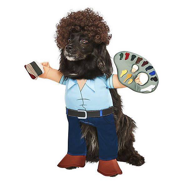 Rubie's Pet Shop Halloween Bob Ross Dog & Cat Costume | PetSmart
