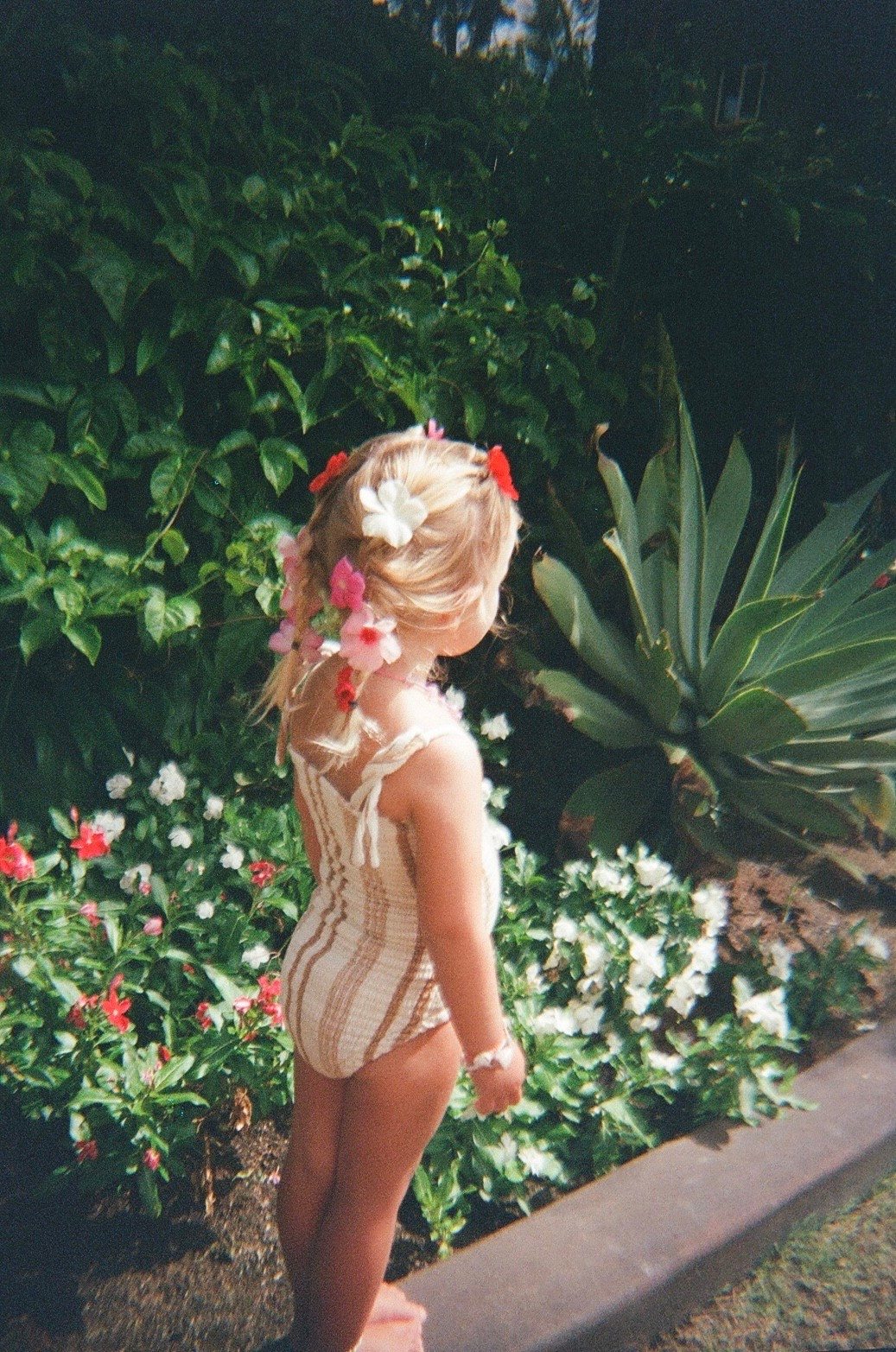 My favorite little film camera!!

#LTKFindsUnder100 #LTKHoliday #LTKGiftGuide