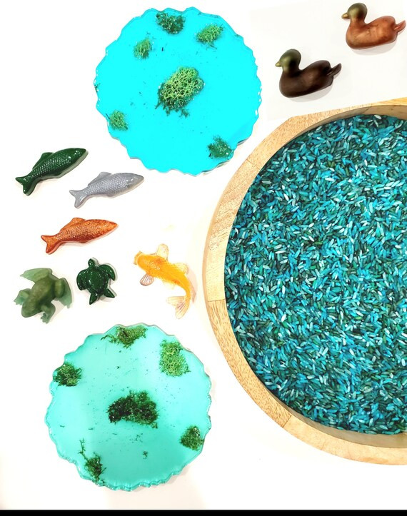 Pond Sensory Kit | Etsy | Etsy (US)