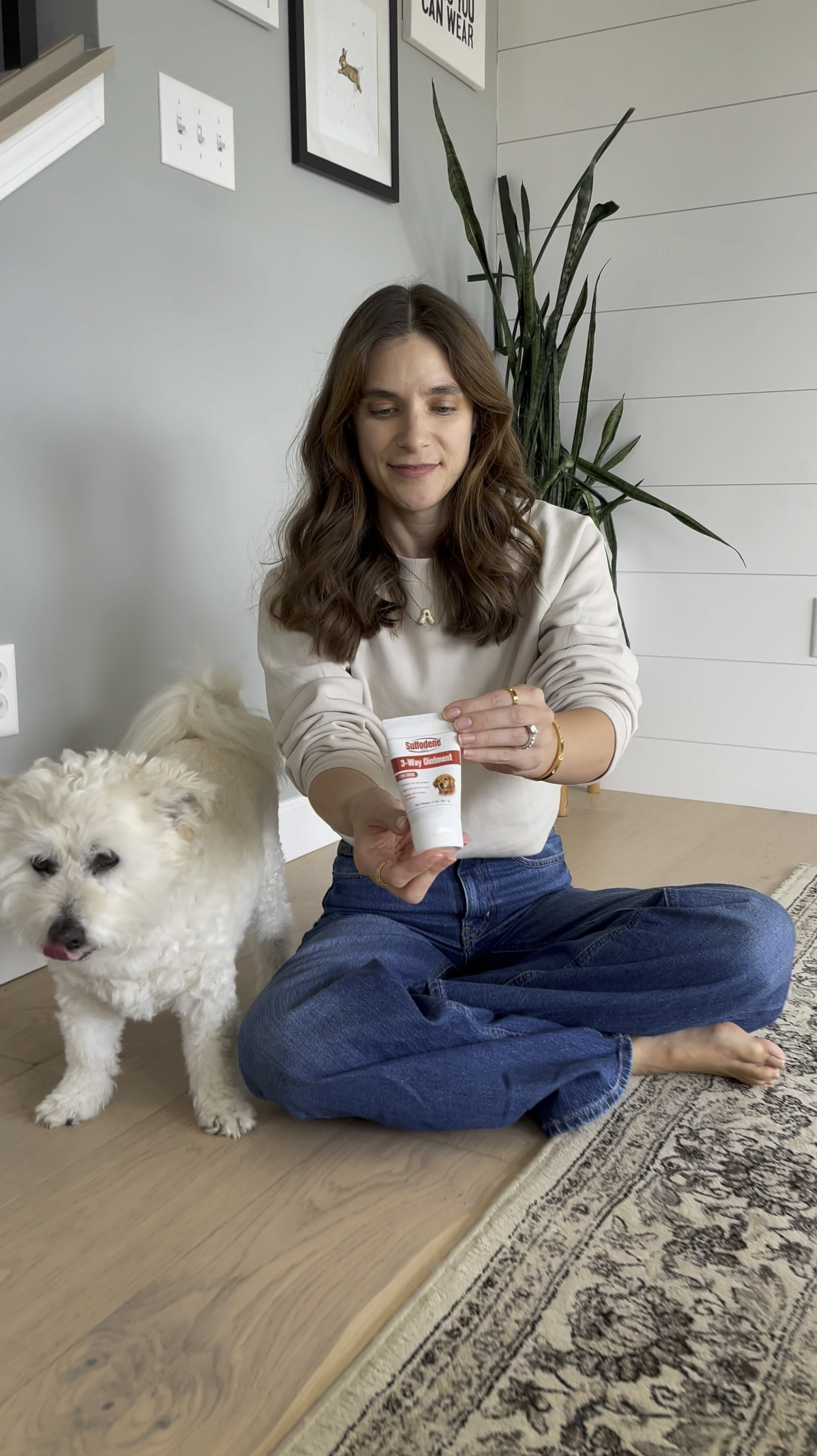 My dog likes to lick his paws, and when he gets a sore spot I put this ointment on it to relieve pain and prevent infection. He seems to like when I put it on him.

#LTKFindsUnder50