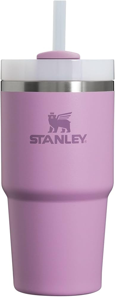 Stanley Quencher H2.0 Tumbler with Straw 20 oz | Twist On 3-Way Lid | Cupholder Compatible for Tr... | Amazon (US)