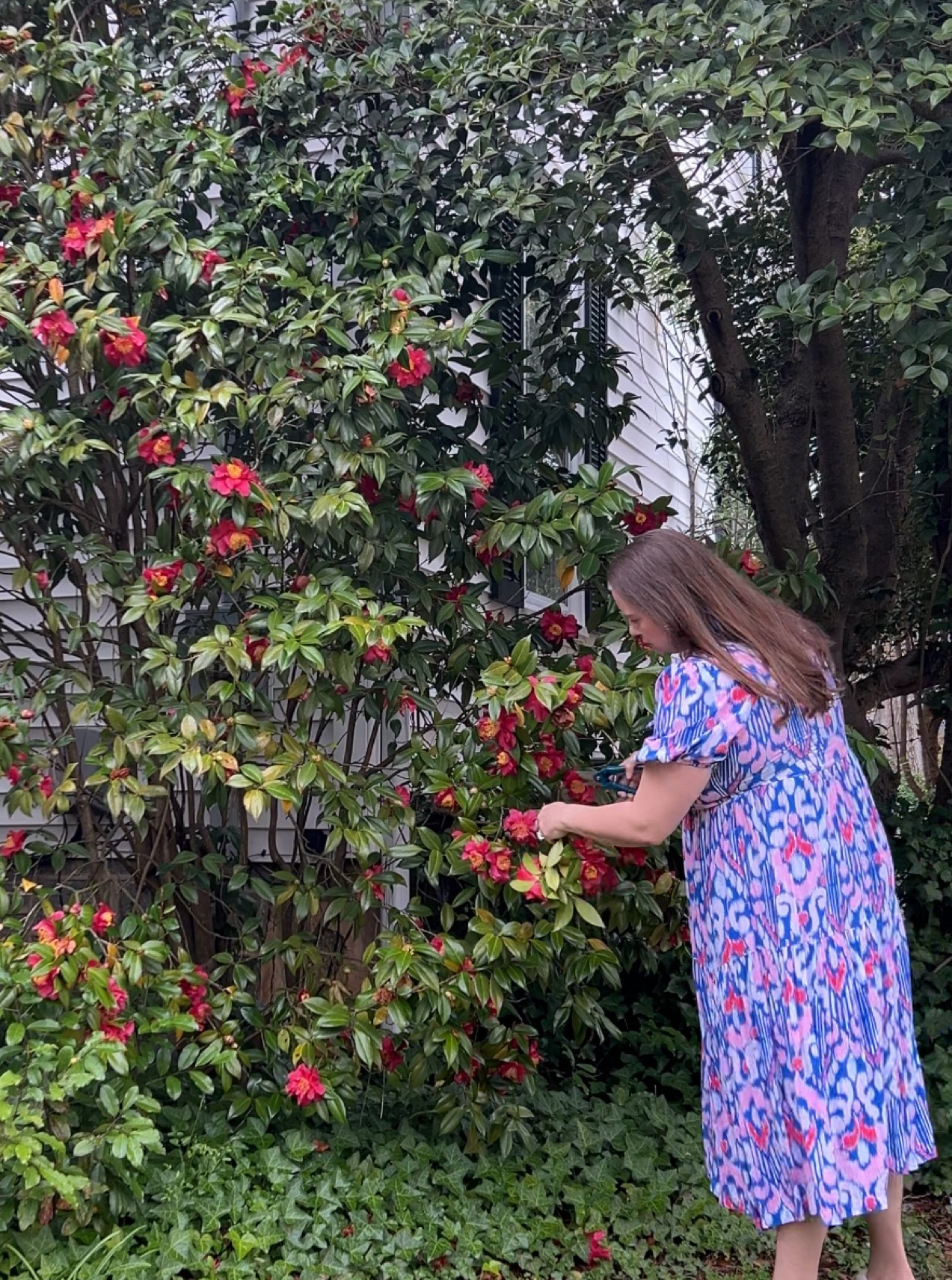 Spring dresses 

#LTKhome #LTKSpringSale #LTKSeasonal