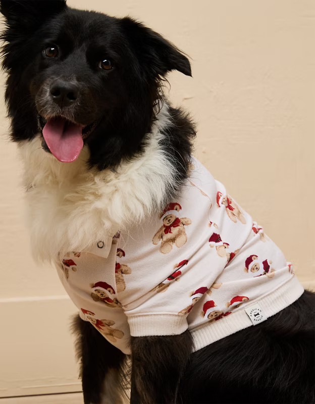 ABO Holiday Teddy Bear Plush Dog PJ Top | American Eagle Outfitters (US & CA)
