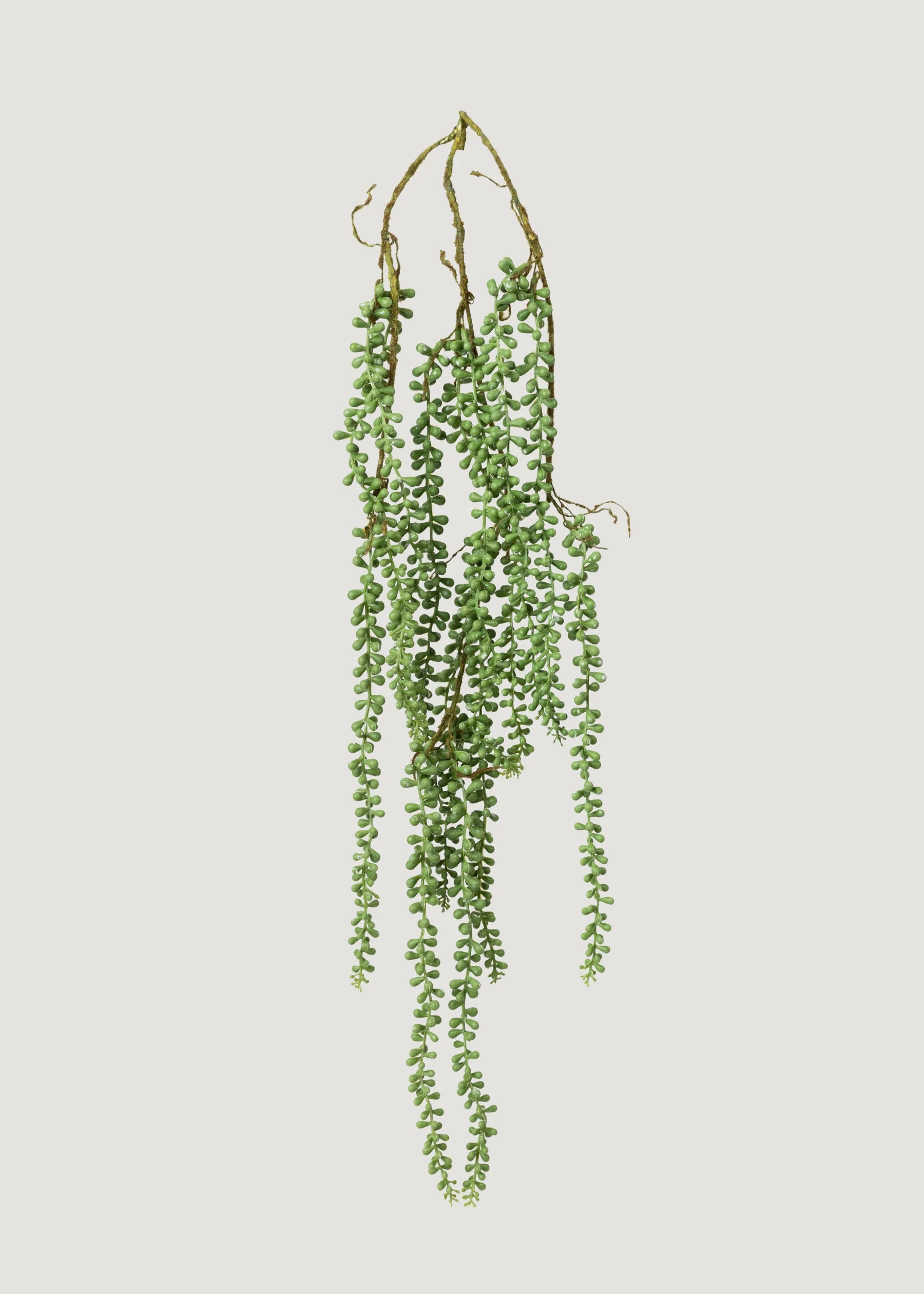 Hanging String of Pearls Plant | Fake Succulents at Afloral | Afloral