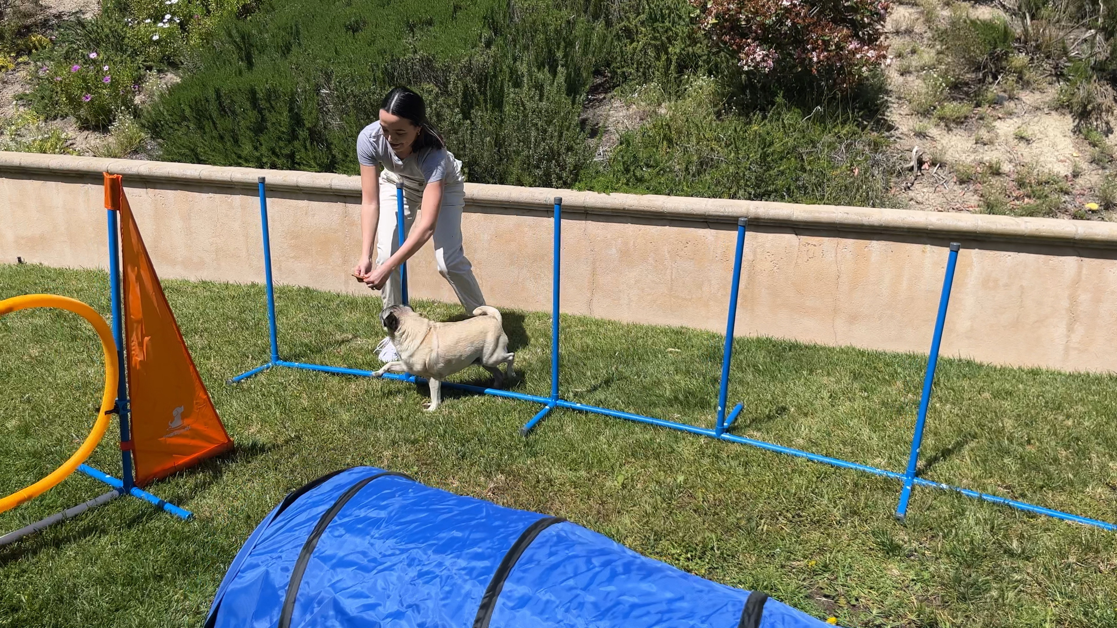 This agility course we got for one of our videos was so fun and Guppy LOVED it! It was super EASY to set up and made Guppy look like a pro! 😂 Can’t believe we got it on Amazon! 

#LTKfitness #LTKfamily #LTKVideo