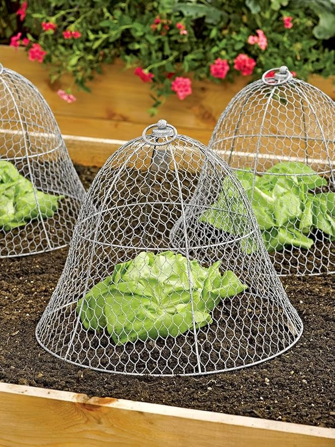 Gardener’s Supply Sturdy Chicken Wire Cloche Plant Protector & Cover | Sturdy Metal Cage Garden... | Amazon (US)