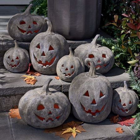 🩶🩶 #PotteryBarn #Pumpkins #Halloween

#LTKhome #LTKSeasonal #LTKFind