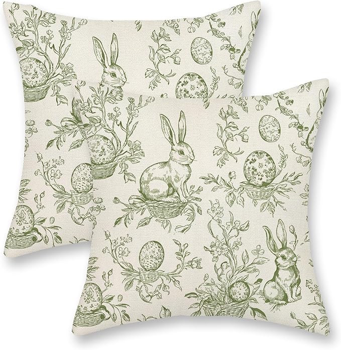 Spring Sage Green Pillow Covers 18x18 Set of 2 Botanical Floral Easter Eggs Bunny Throw Pillows G... | Amazon (US)