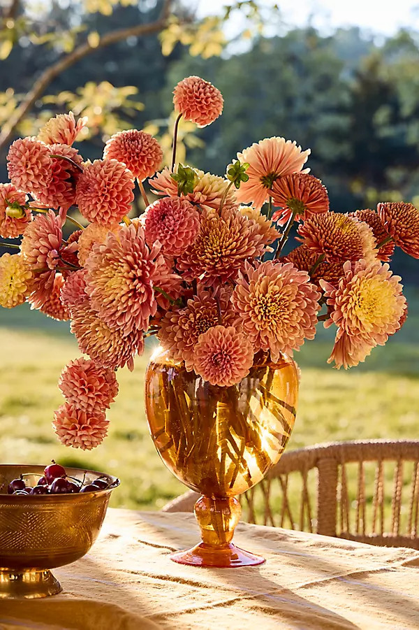 Colorful Footed Glass Vase in Orange, Size: Short at Terrain | Terrain