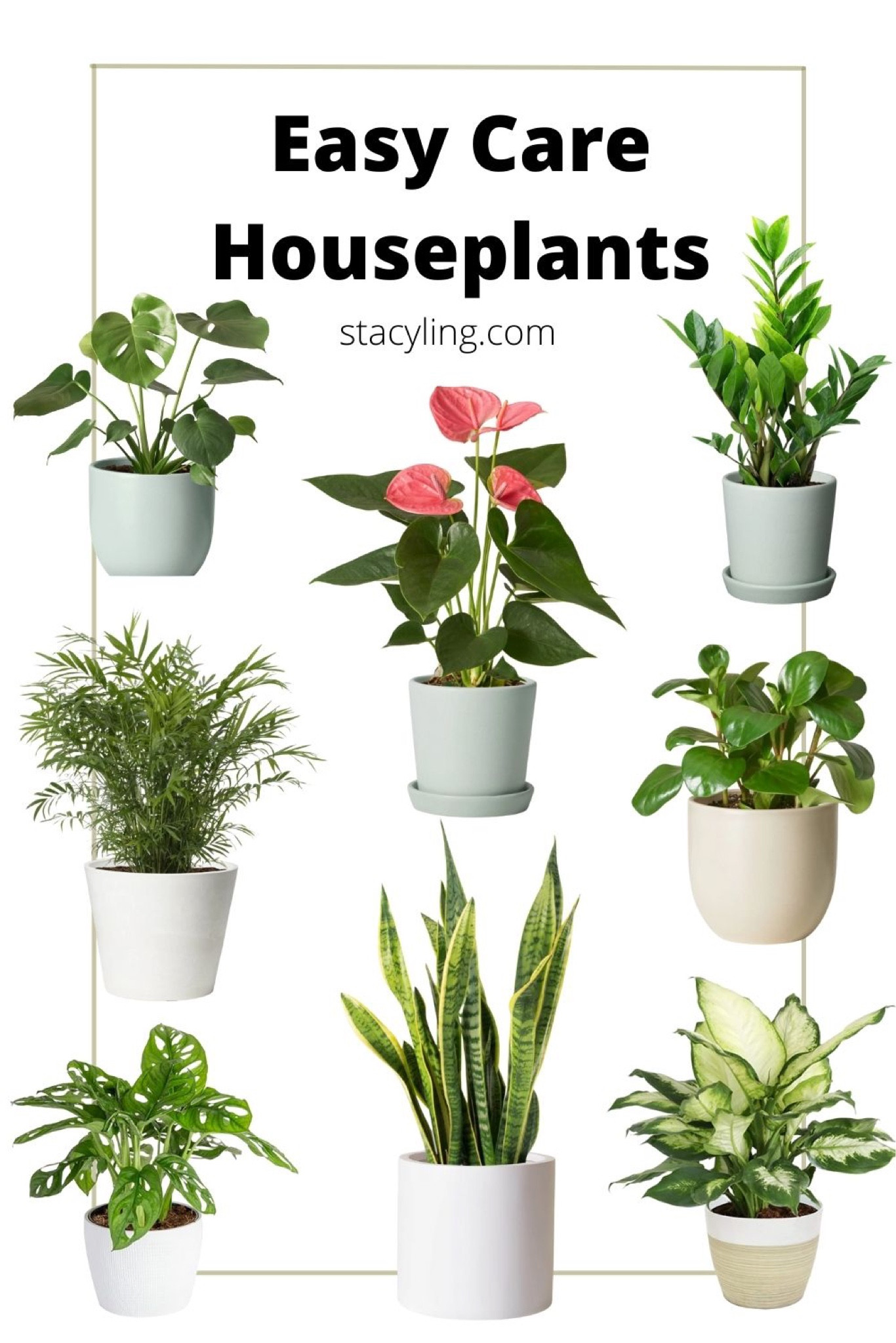 Be the plant parent you’ve always wanted to be with these easy care houseplants for beginners. 

#LTKsalealert #LTKhome