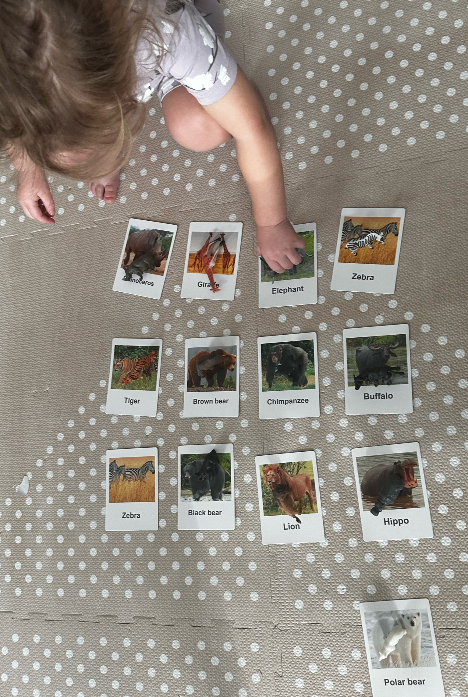 One of our favorite animal activity is on sale. We use this for animal matching, for imaginary play, sorting, and there’s fun info on the back 

#LTKBaby #LTKKids #LTKFamily