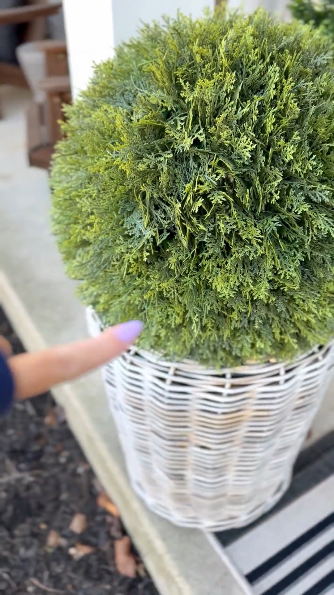 Faux is the way to go 🤍 these are gorgeous and such a good Walmart find. They’re big, heavy, and so beautiful. Already ordered more for the backyard around the pool 🙌🏼 high sellout risk… this is a must grab and they come assembled + fluffed ✨! 

#LTKdayinmylife #LTKHome #LTKSeasonal