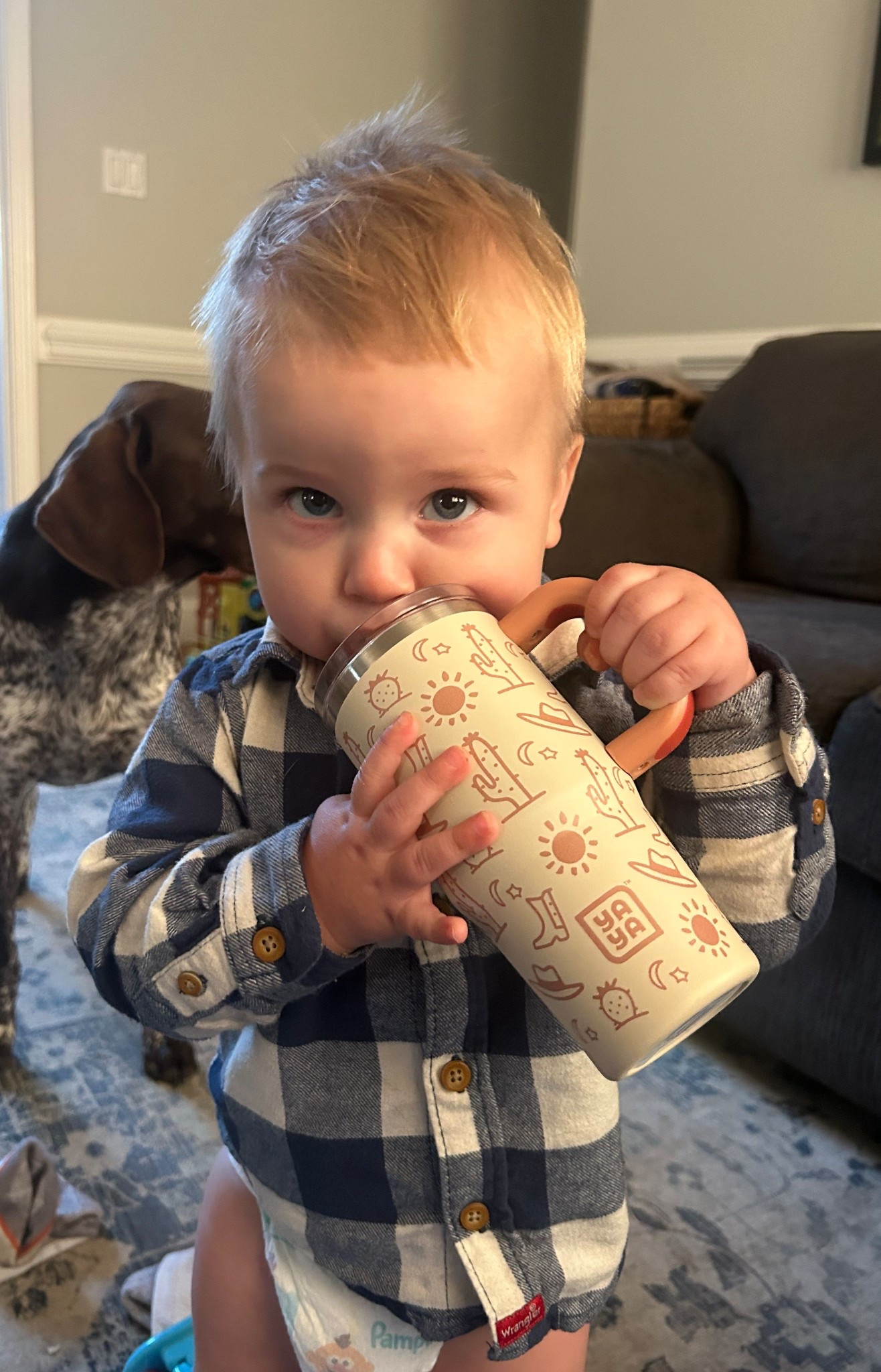 Got the absolute cutest tumblr for the boys today at Walmart!! They have so many cute options for boys and girls!! They also have the Christmas ones out and they are adorable!! These leakproof cups would make great gifts for any kids in your family!! They’re under $10! We have a collection and love them!! Linking other option below!! 

#LTKKids #LTKBaby #LTKHome