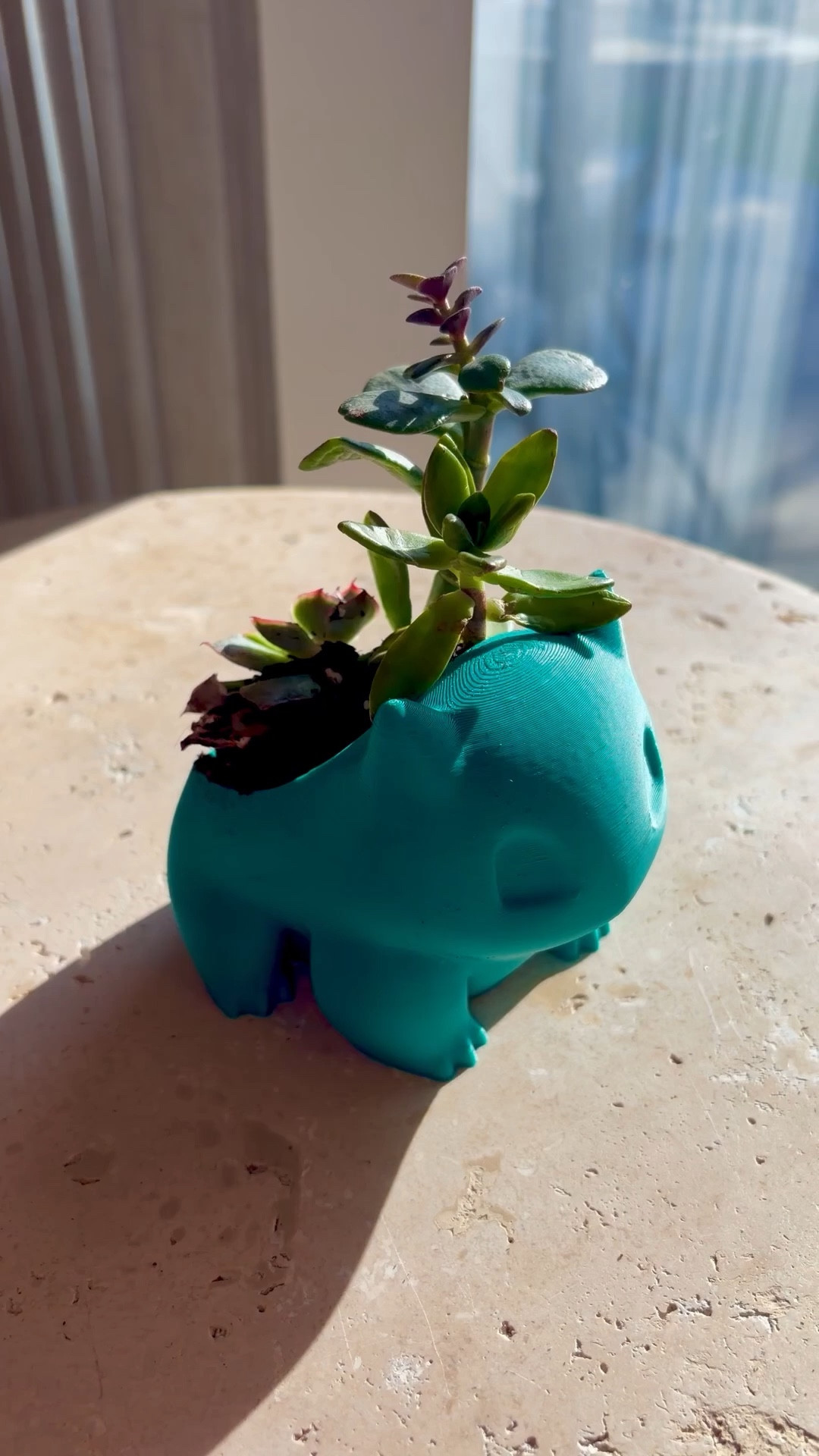 look how adorable this Bulbasaur planter for my succulents!  

#LTKSaleAlert