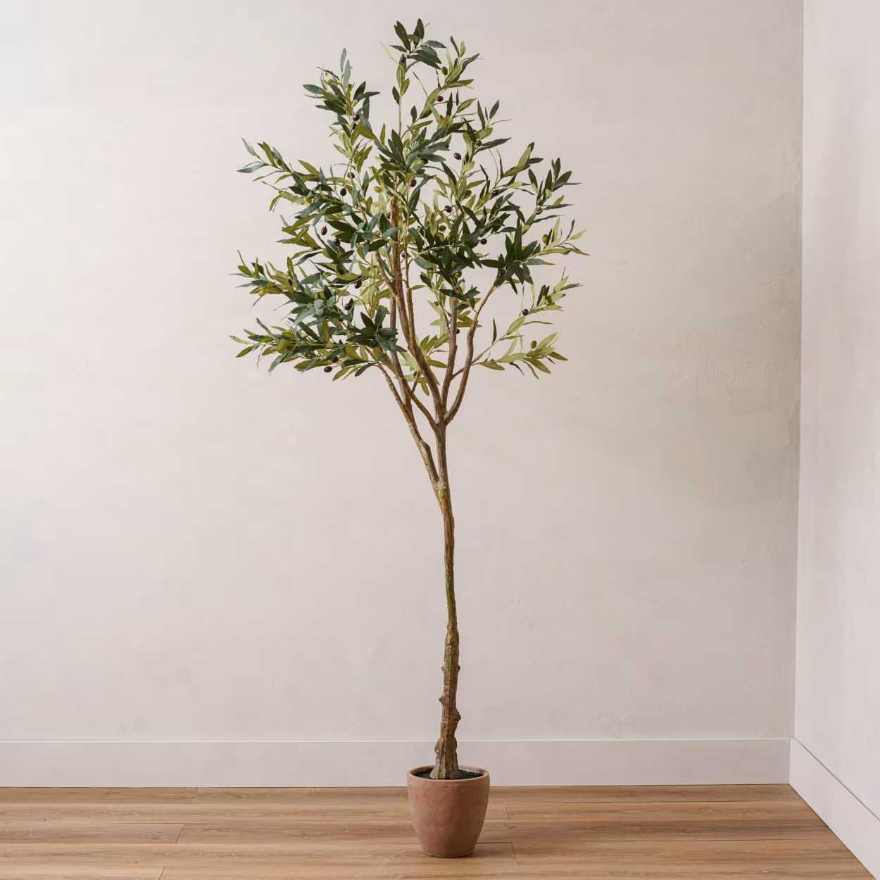 84" Olive Tree in Cement Pot | Magnolia