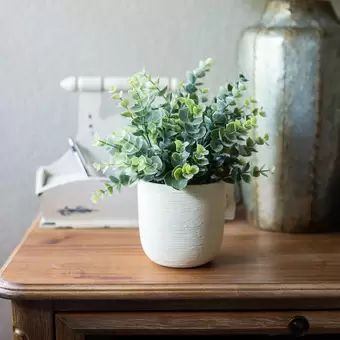 10.25" Artificial Eucalyptus Plant in Pot | Wayfair North America