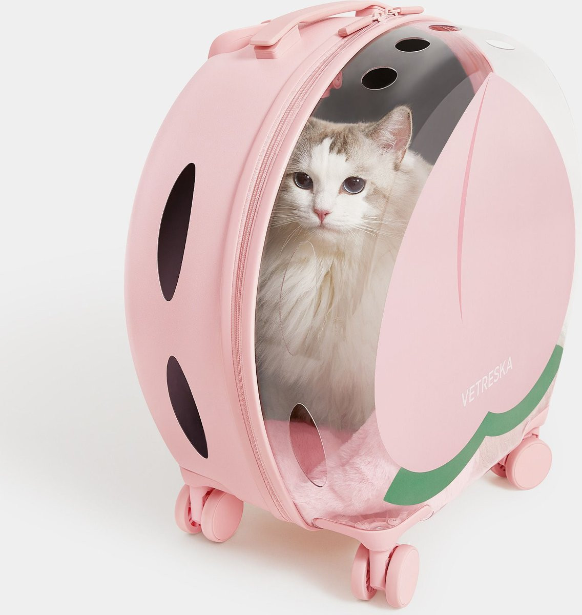 VETRESKA Dog & Cat Carrier | Chewy.com