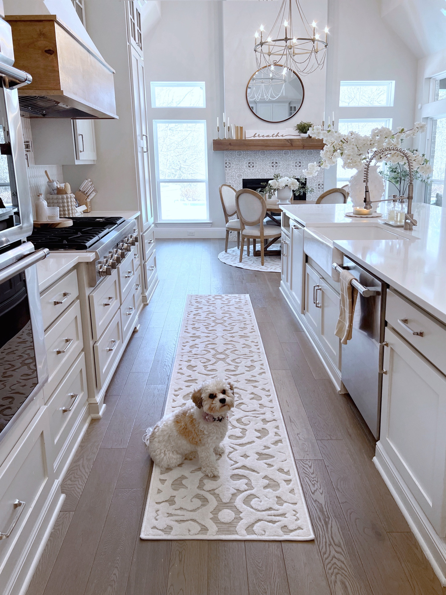 Wayfair’s Presidents’ Clearance  is going on now! My lady bird rug is included in the sale! #ad #wayfair @wayfair

#LTKFind #LTKhome #LTKSale