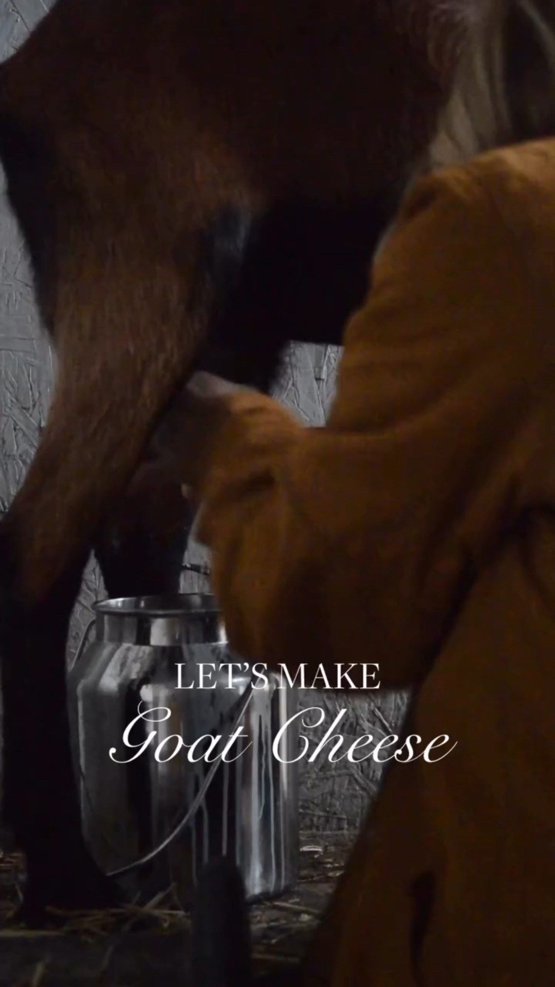 Making raw goat cheese has become my absolute obsession. Been using the whey in sourdough, making the most delicious superfood snack EVER. Classic Redmond’s salt is my fave, but honey/ vanilla is a close second. Send me all of your fave flavors to try!