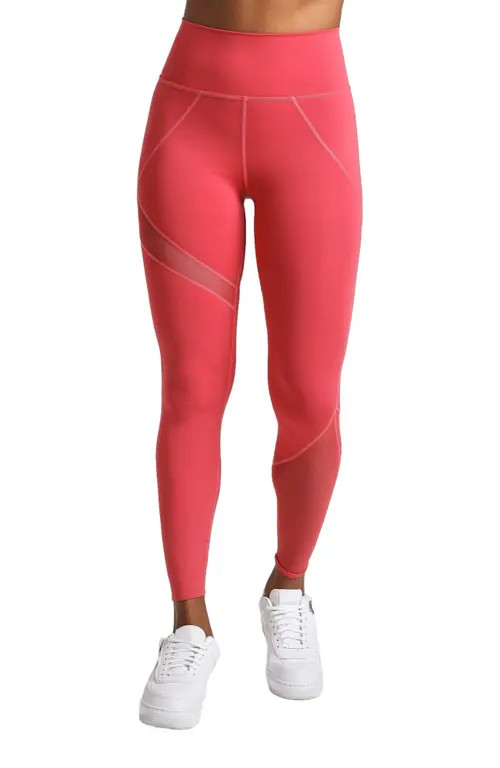 Losano Mesh Panel Legging in Vintage Rose at Nordstrom, Size Large | Nordstrom
