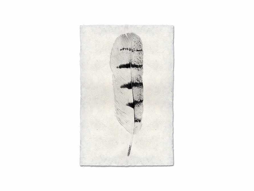 Feather Study Print VIII | Arhaus