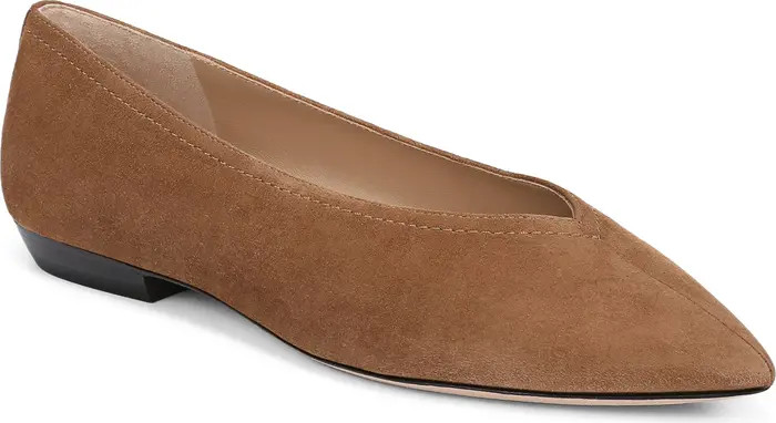 Bancroft Pointed Toe Flat (Women) | Nordstrom