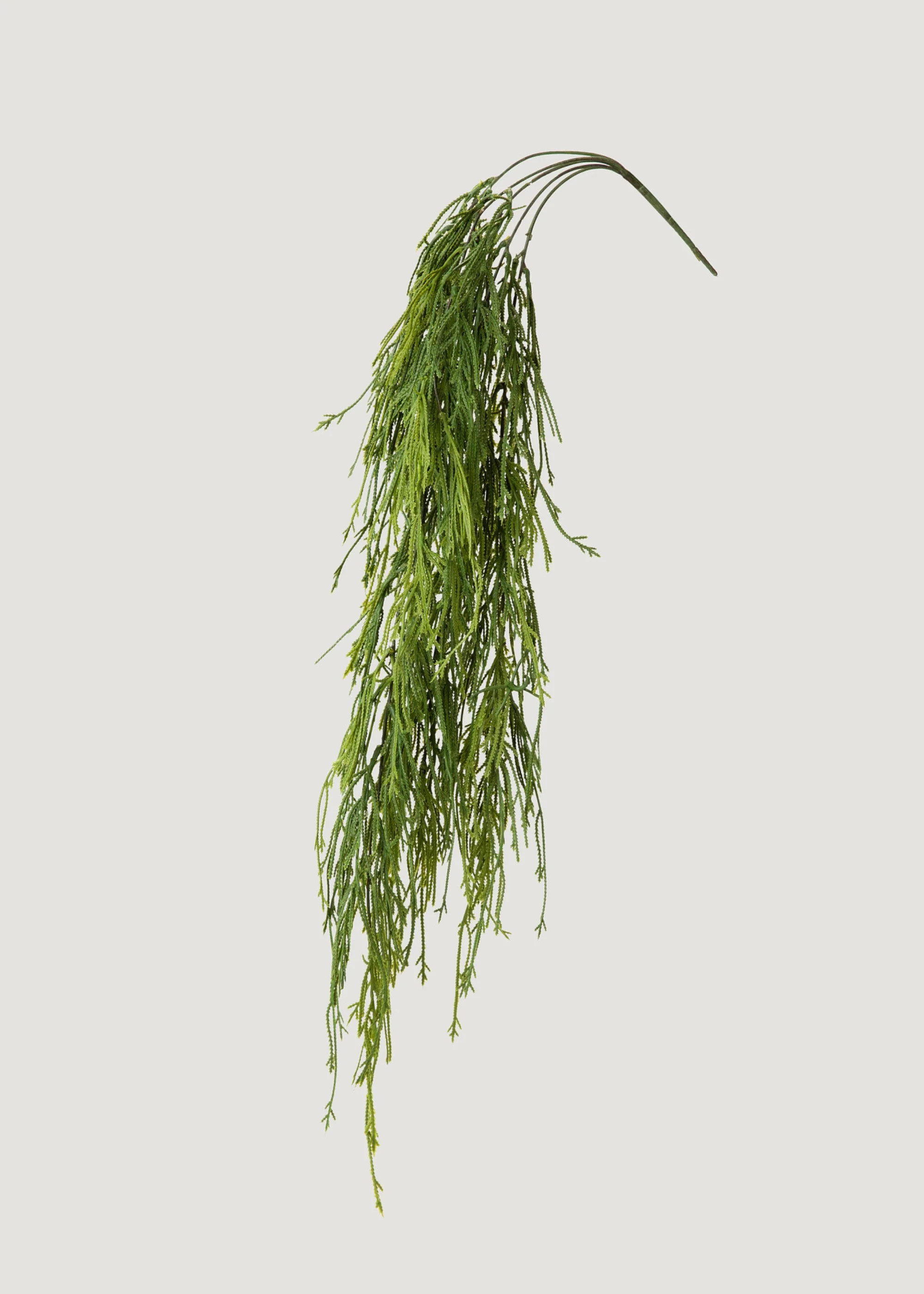UV Treated Outdoor Moss Fern | Fake Hanging Plants | Afloral | Afloral
