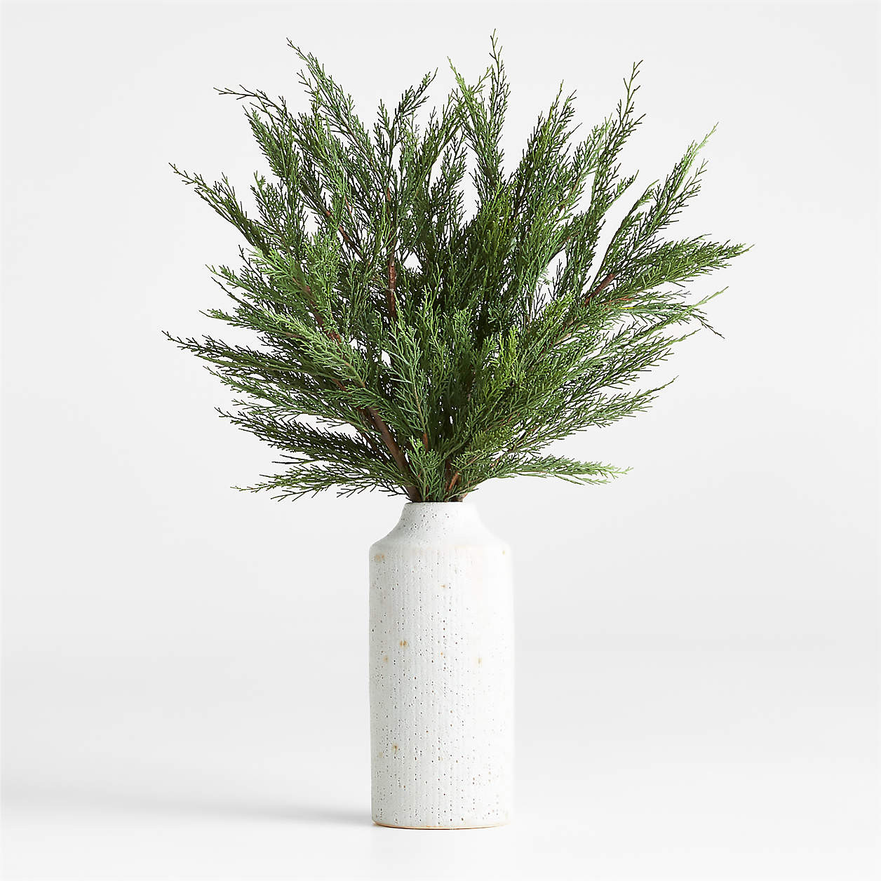 Faux Cypress Stem 29.9" + Reviews | Crate & Barrel | Crate & Barrel