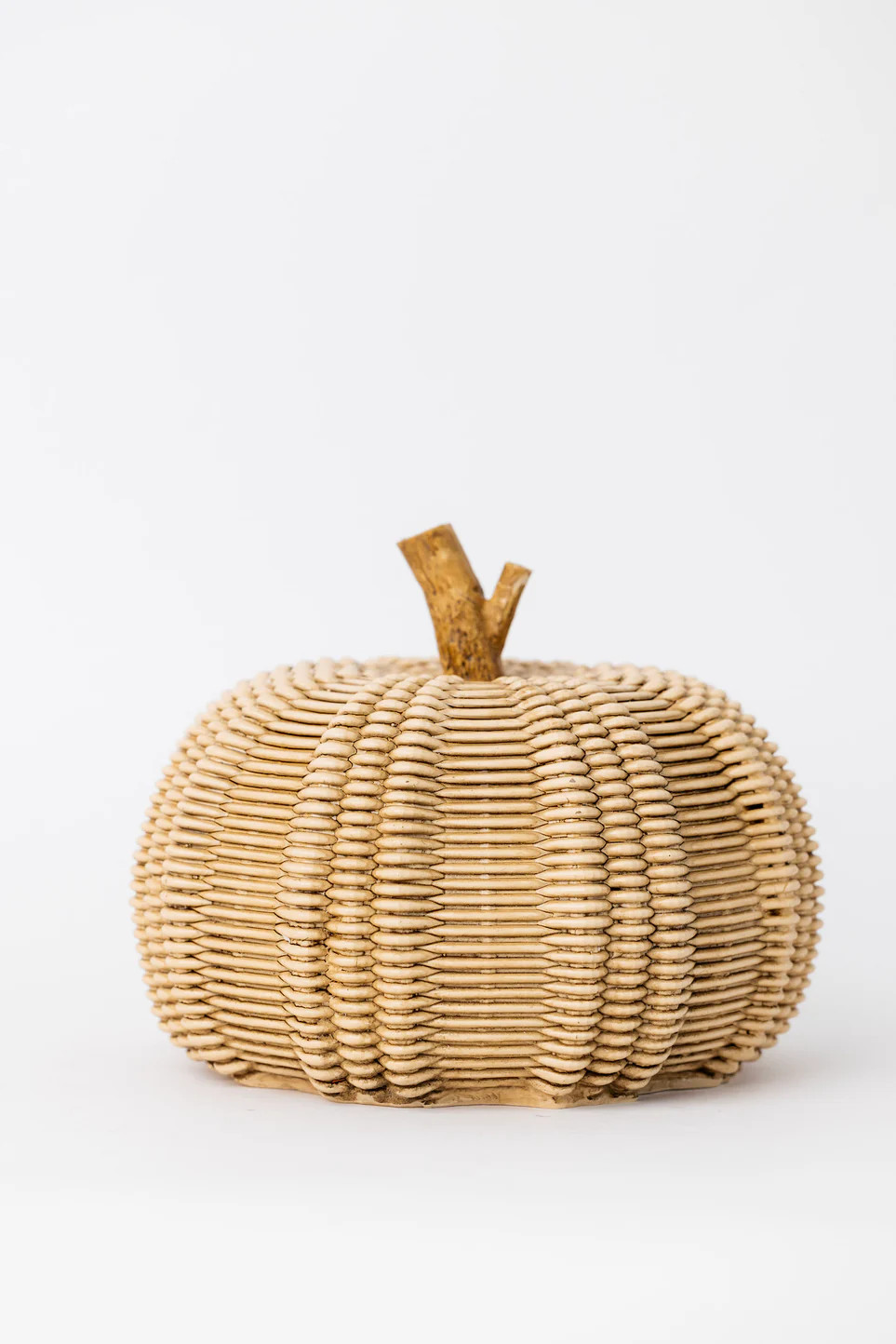 Harvest Pumpkin - 2 Sizes | THELIFESTYLEDCO