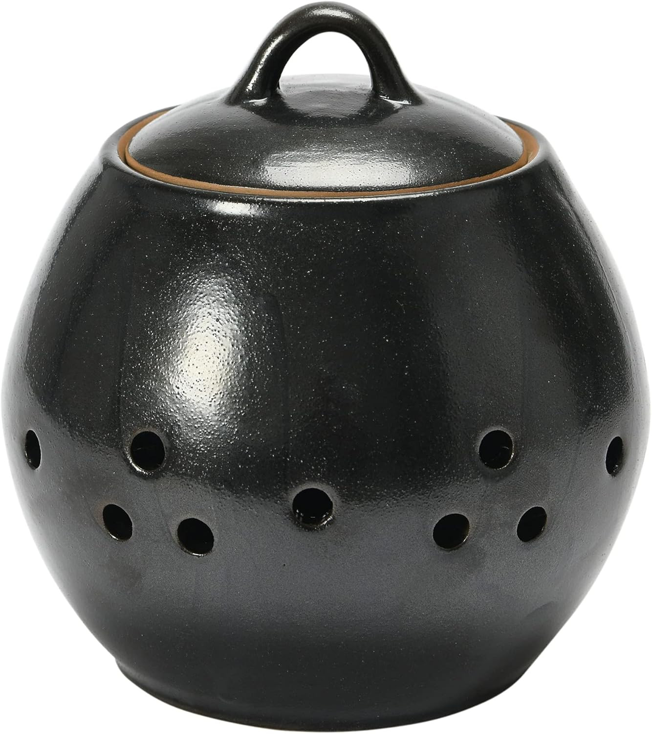 Creative Co-Op Stoneware Jar w Reactive Glaze, Black Garlic Keeper, 6.25" | Amazon (US)