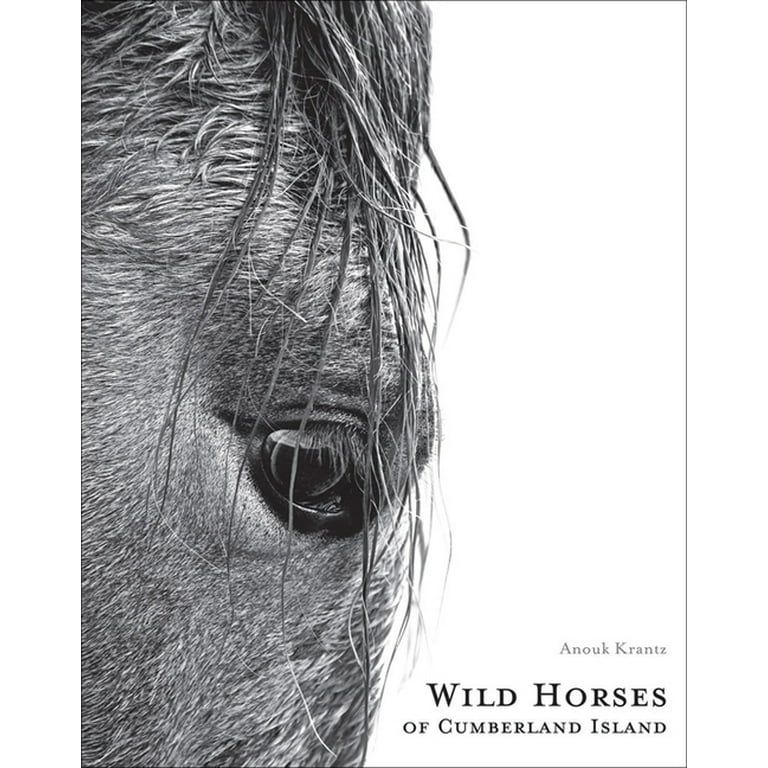 Wild Horses of Cumberland Island (2nd Edition) (Hardcover) | Walmart (US)