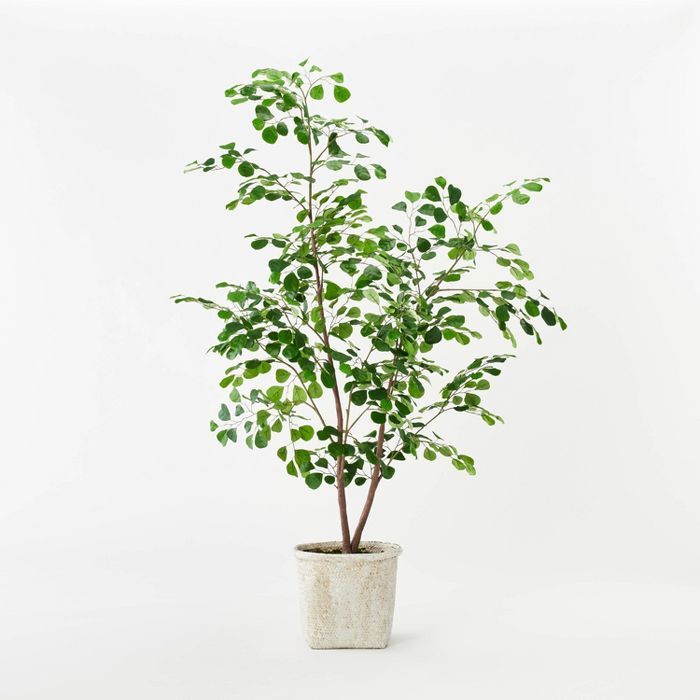 Triangle Ficus Tree - Threshold&#8482; designed with Studio McGee | Target