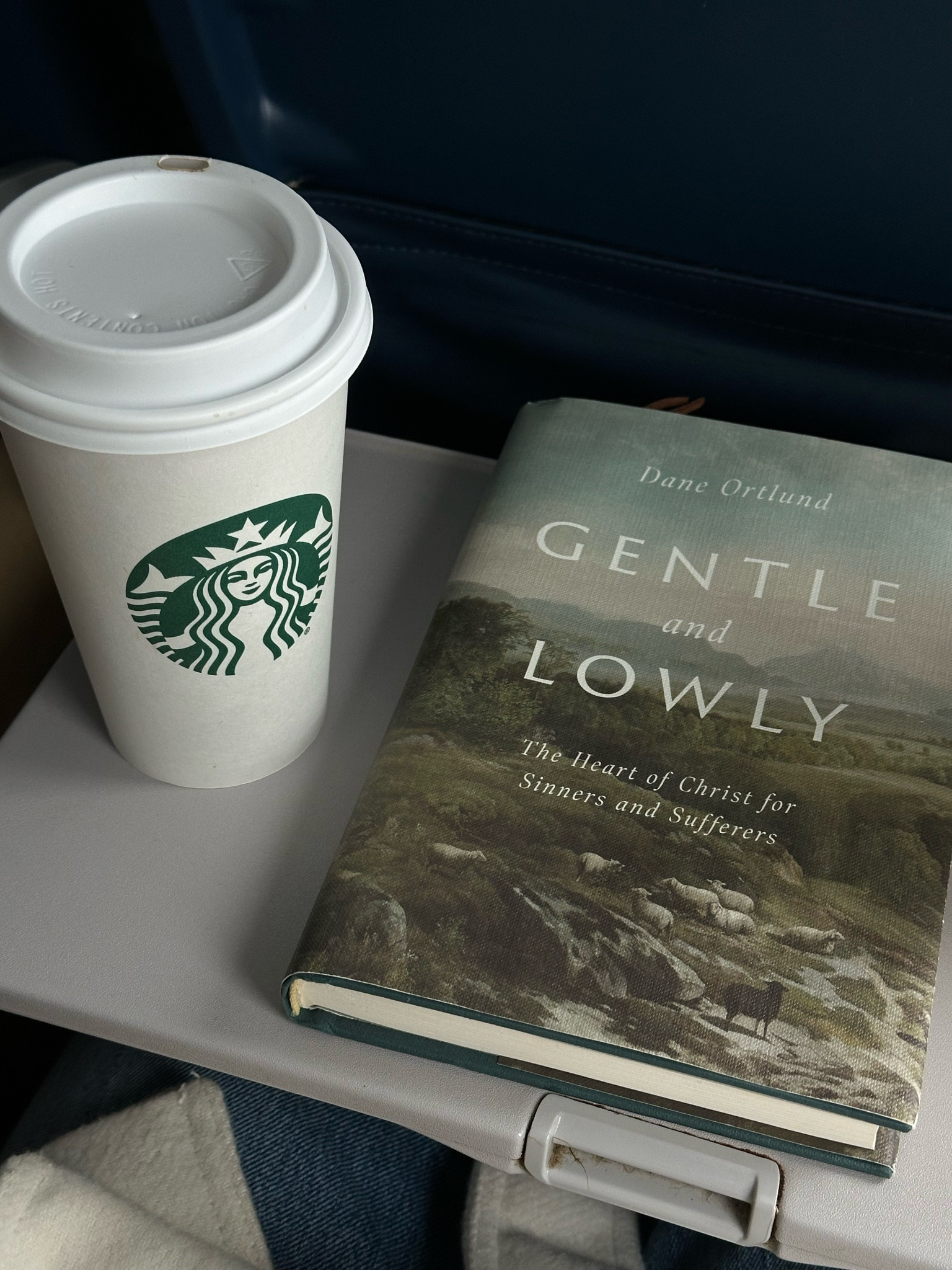 my favorite book as of recent! all about the character & the heart of Christ. a beautiful read and eye opening in the best way. 