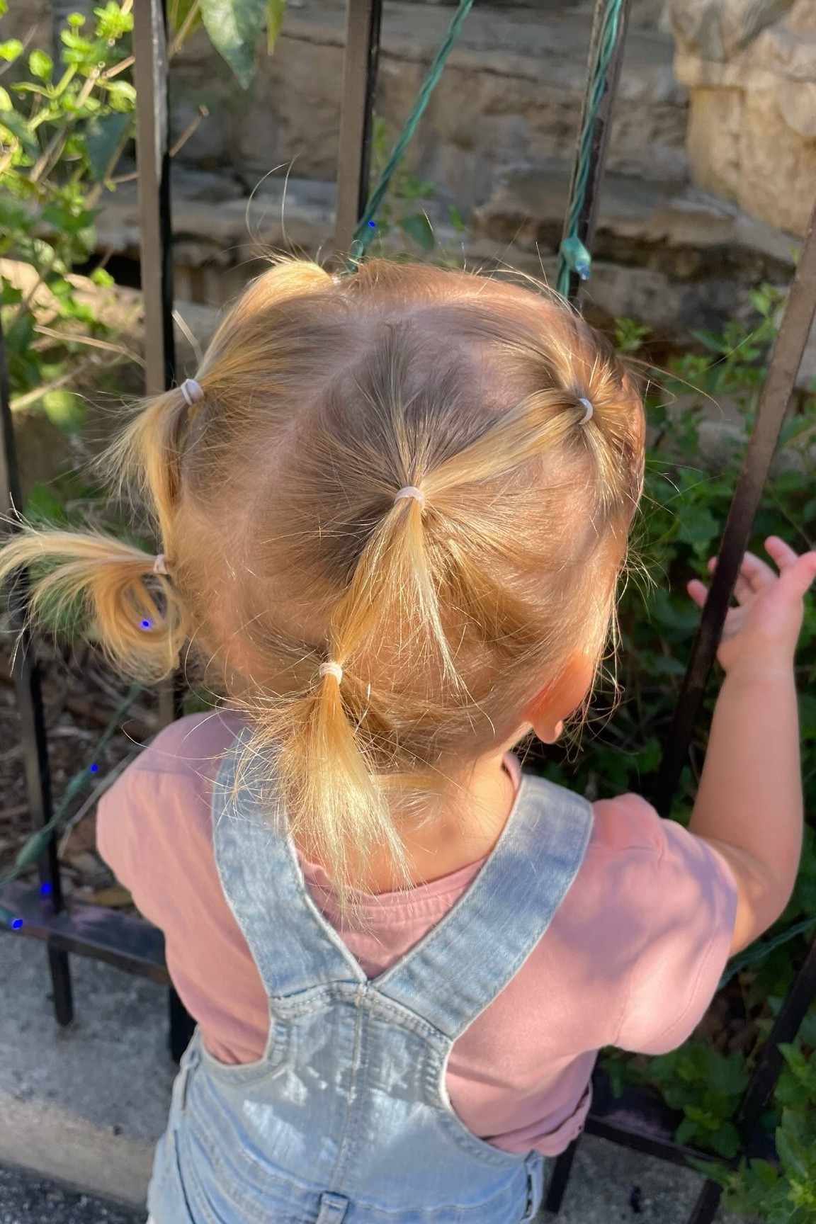 Our favorite hair care products!