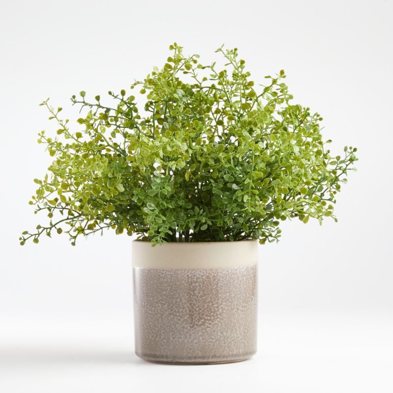 Faux Potted Greenery + Reviews | Crate & Barrel | Crate & Barrel