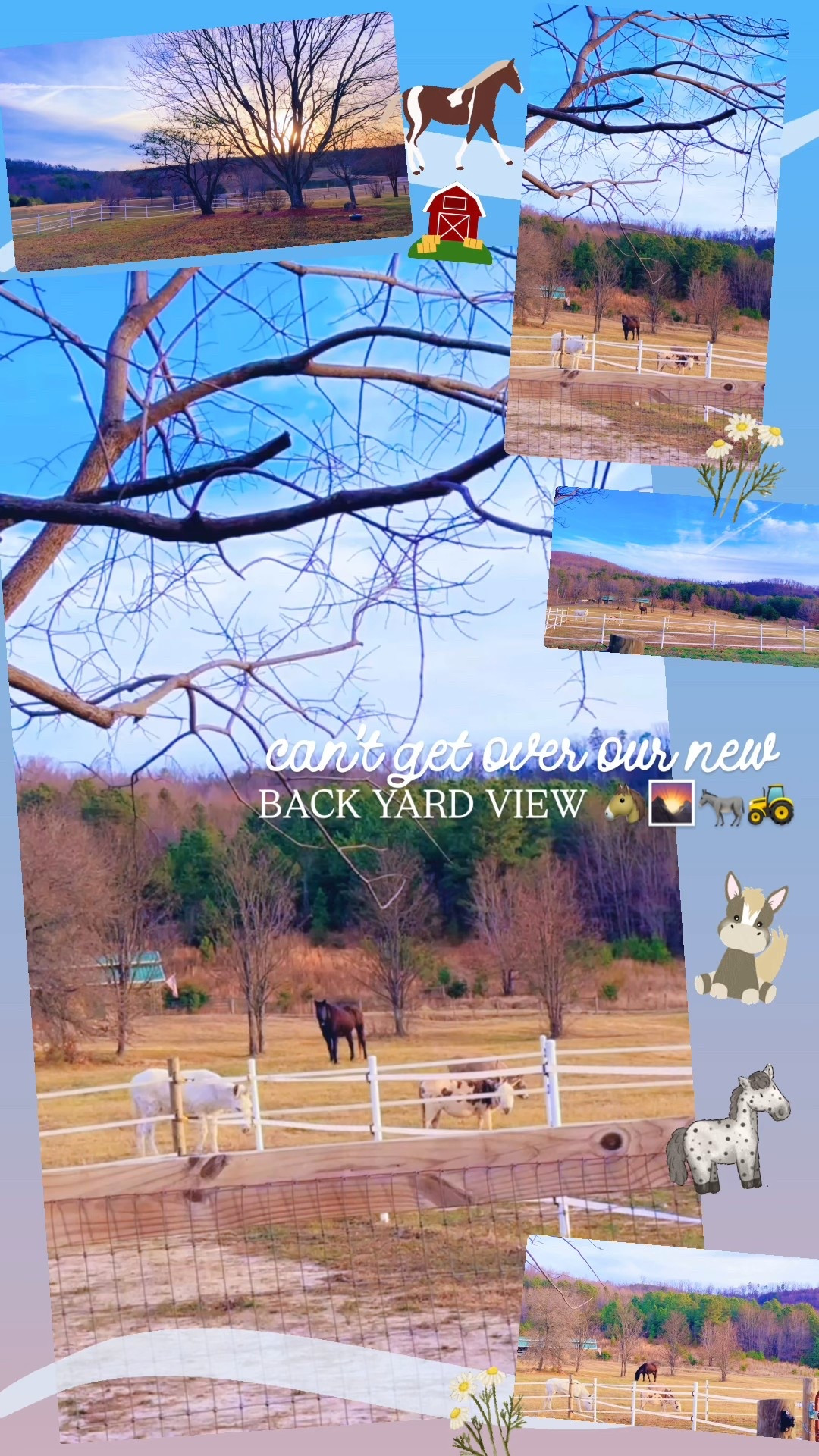 can’t get over our new backyard view 🐴🌄🫏🚜