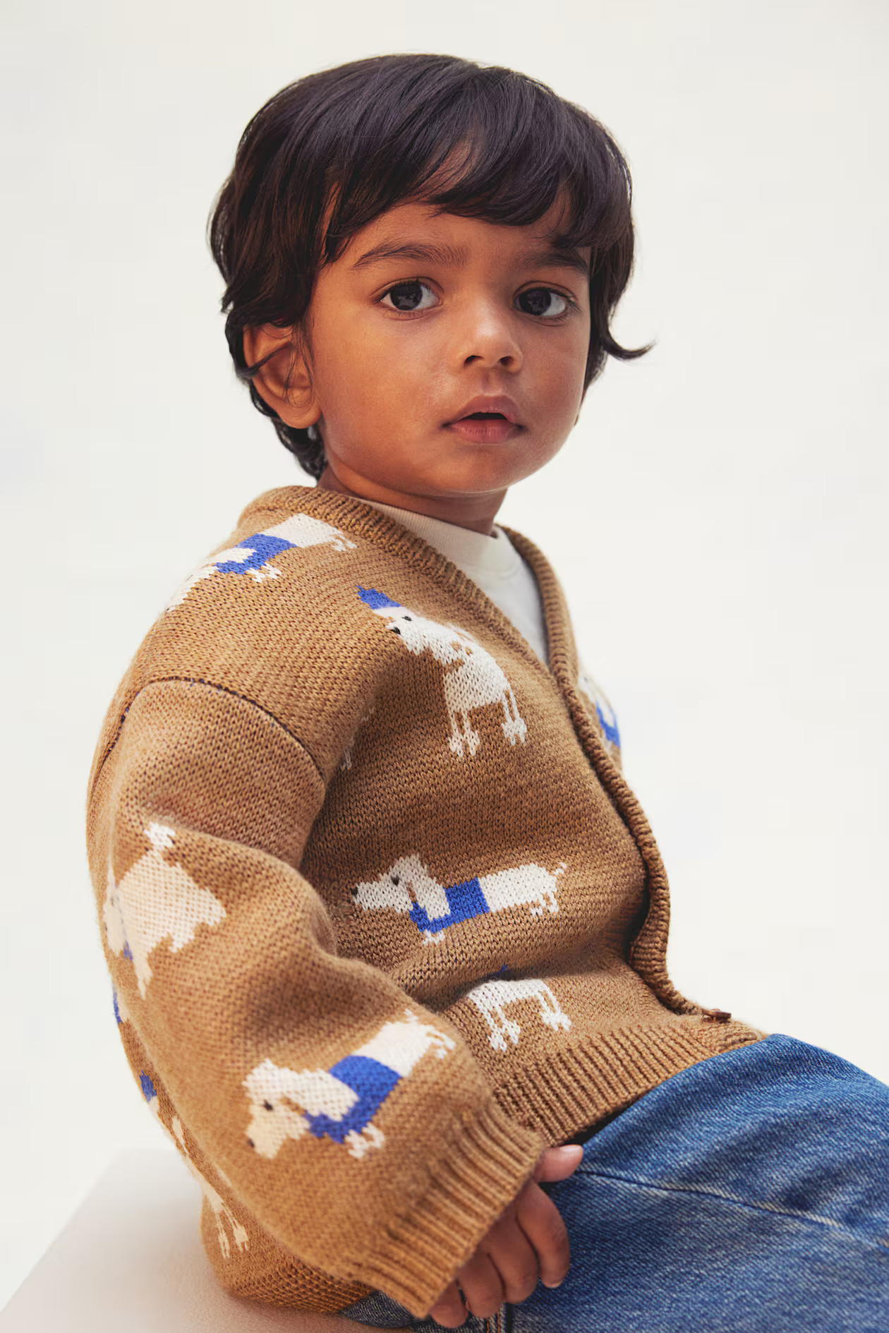 Jacquard-Knit Wool Cardigan | H&M (US + CA)