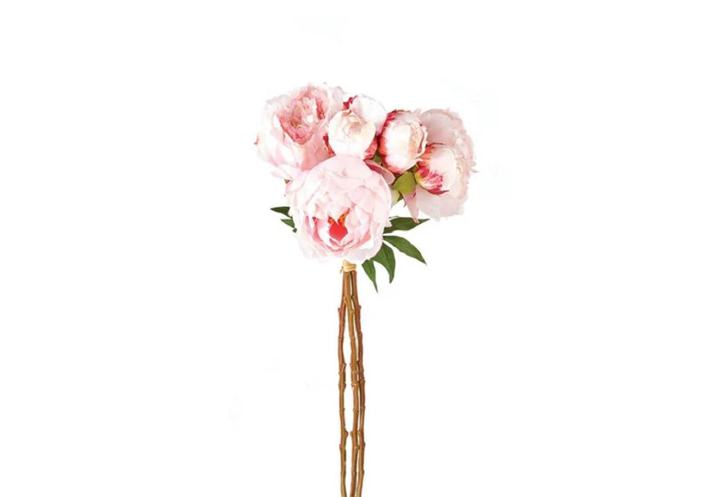 PEONIES | Alice Lane Home Collection